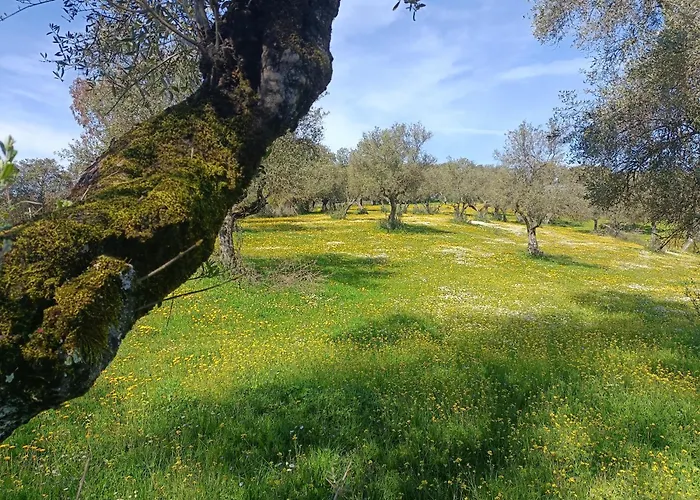 Finca El Berezal