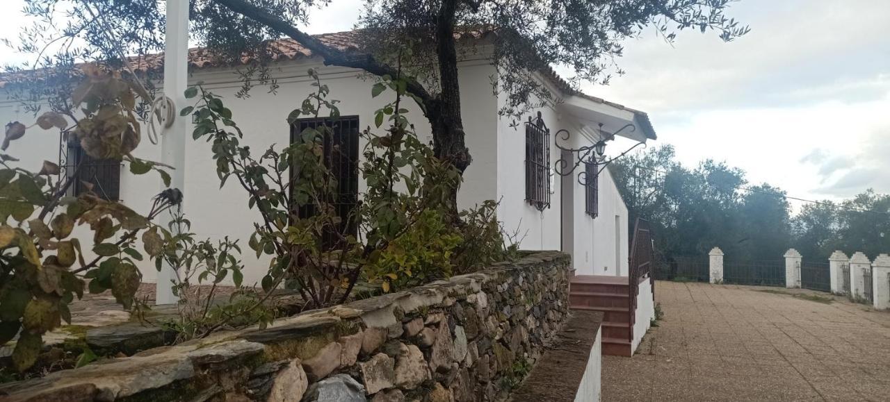 Holiday home El Berezal *