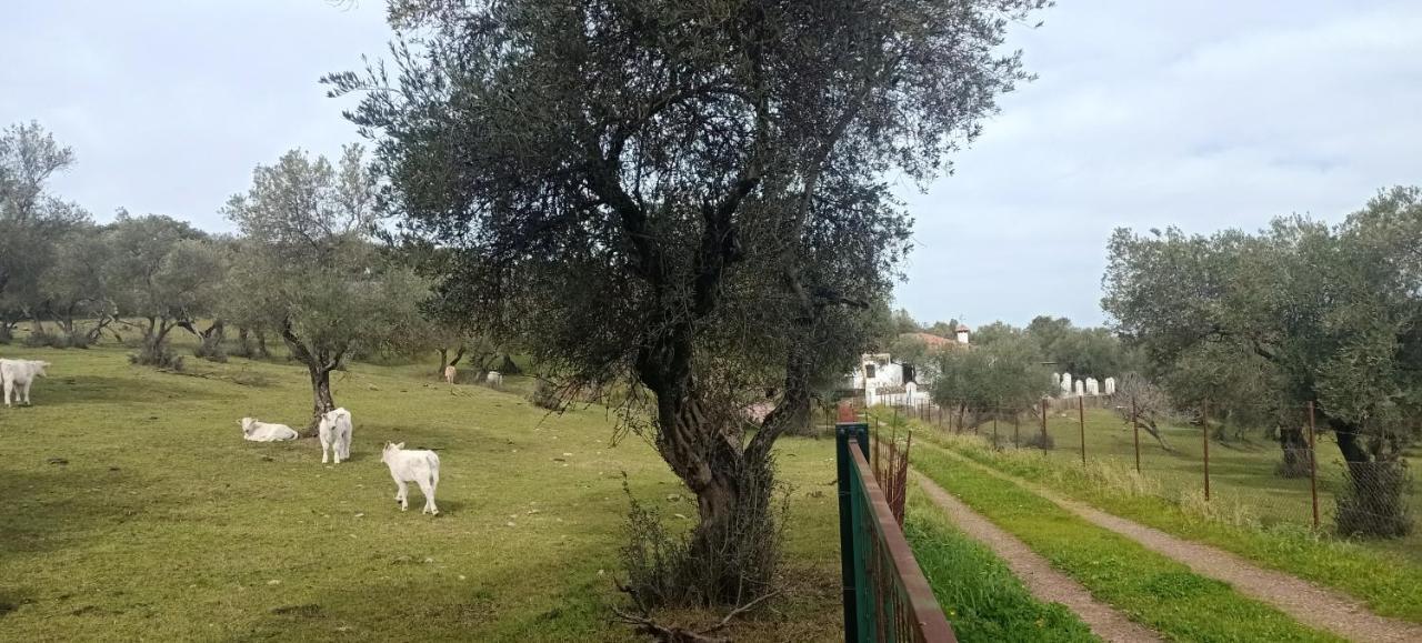 El Berezal * Aracena