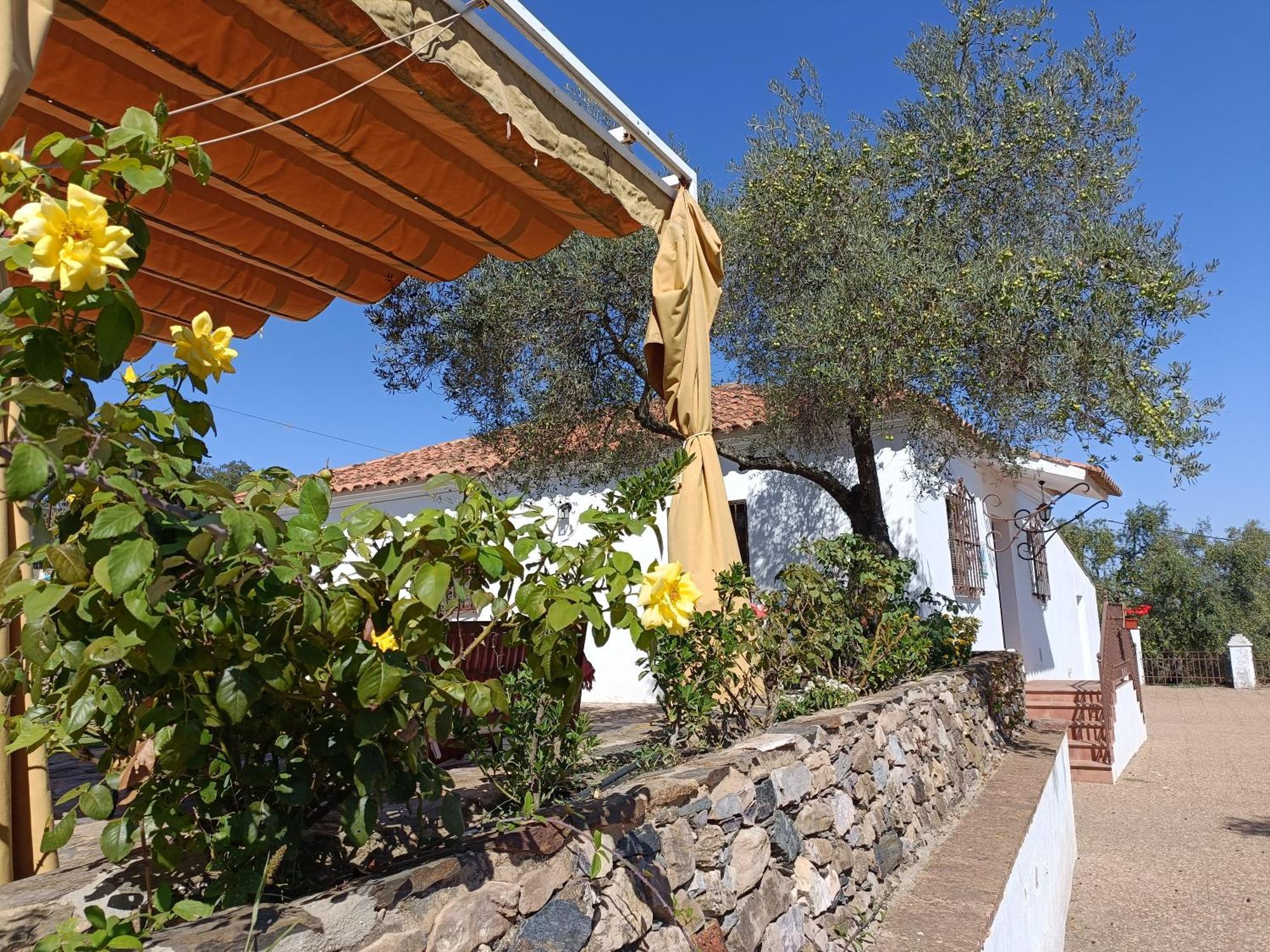 Holiday home El Berezal *